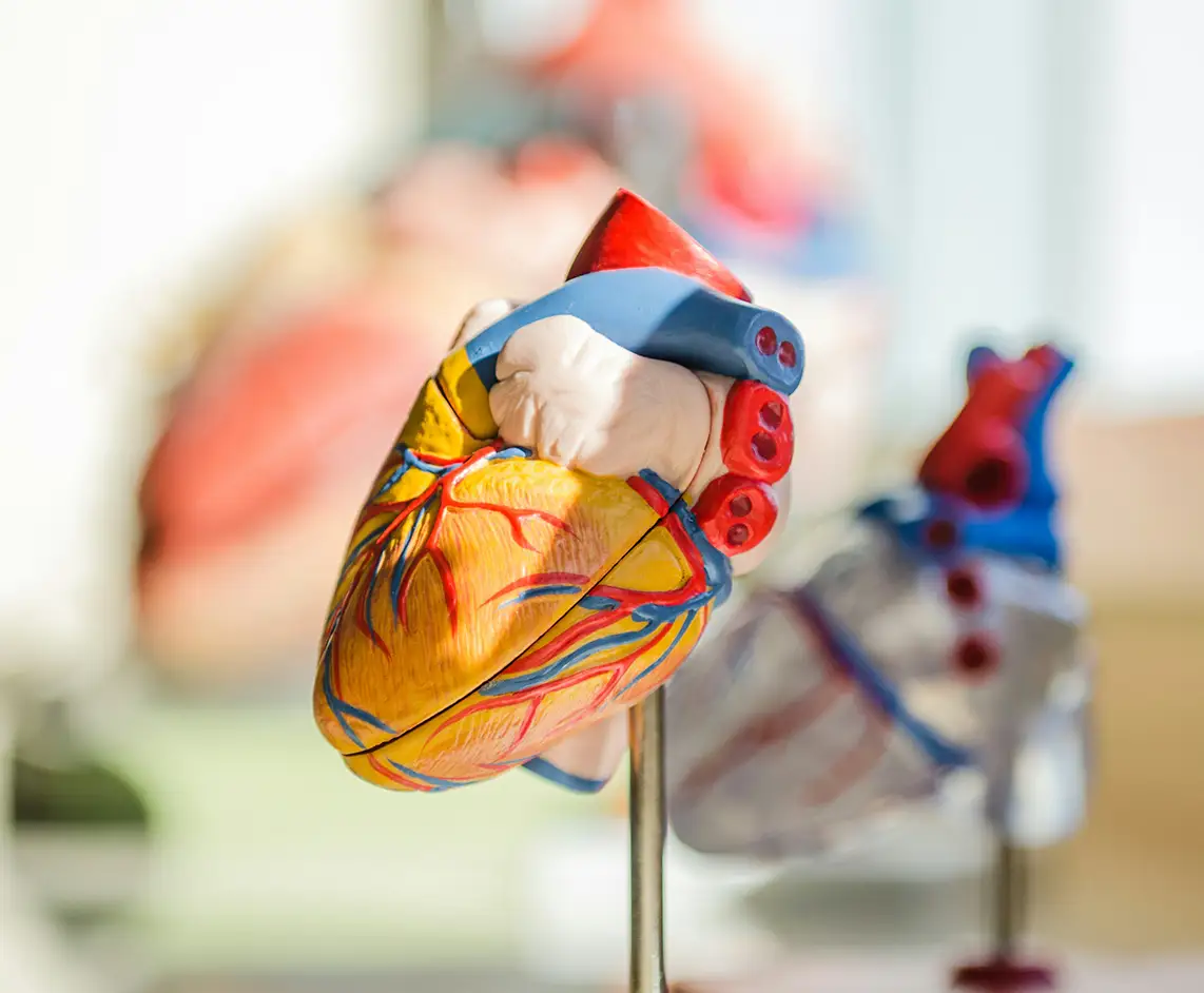 Cardiology and vascular care clinic in Dearborn, MI